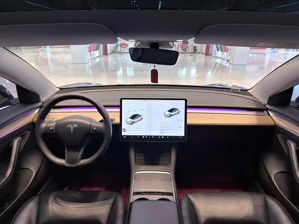 Tesla Model 3 2021 из CN, фото 9