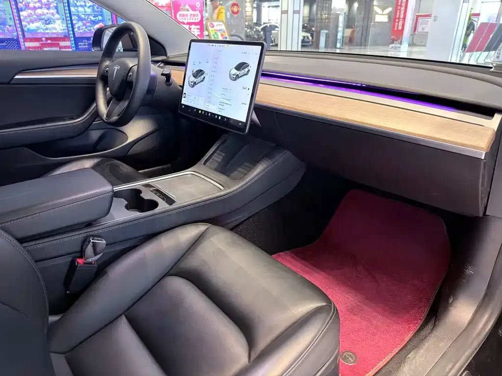 Tesla Model 3 2021 из CN, фото 3