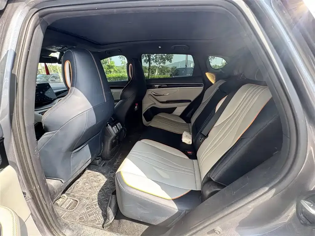BYD PLUS New Energy 2023 из CN, фото 4