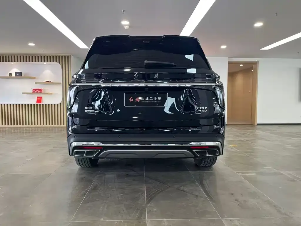 Hongqi HS7 PHEV 2024 из CN, фото 7