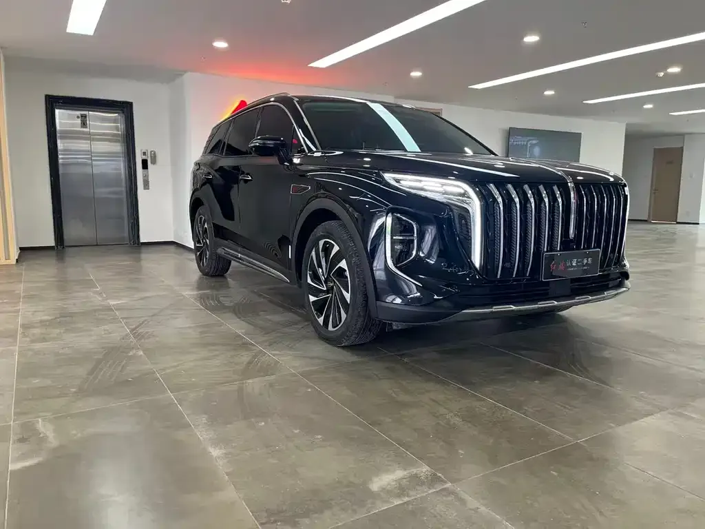 Hongqi HS7 PHEV 2024 из CN, фото 5