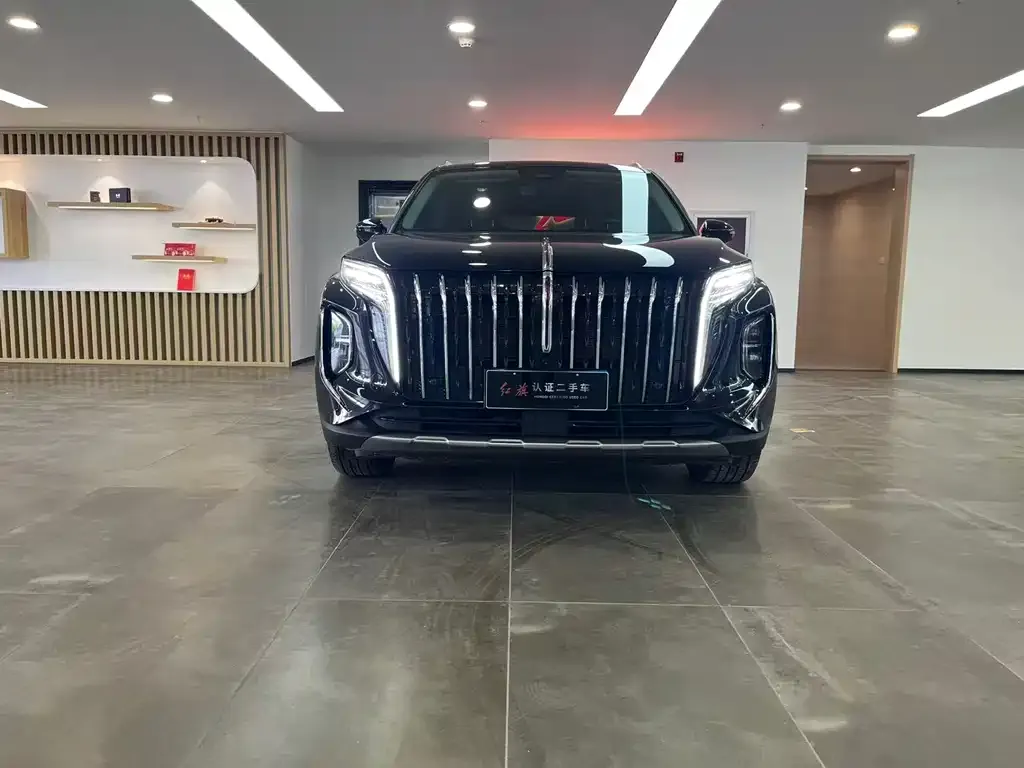 Hongqi HS7 PHEV 2024 из CN, фото 10