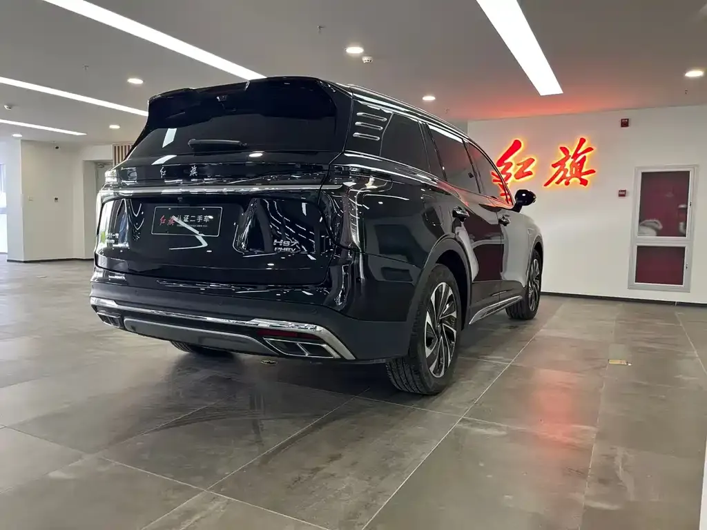 Hongqi HS7 PHEV 2024 из CN, фото 3