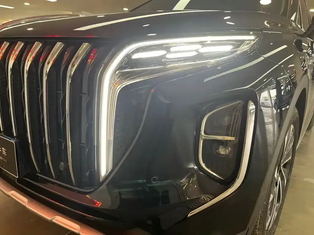 Hongqi HS7 PHEV 2024 из CN, фото 2