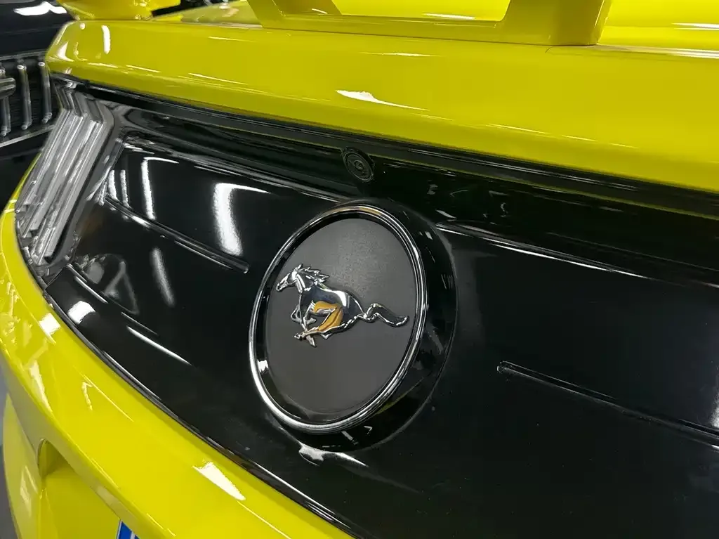 Ford Mustang 2021 из CN, фото 2