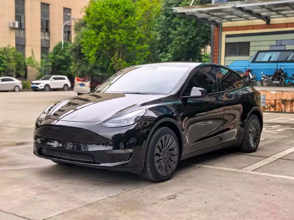 Tesla Model Y — фото 1