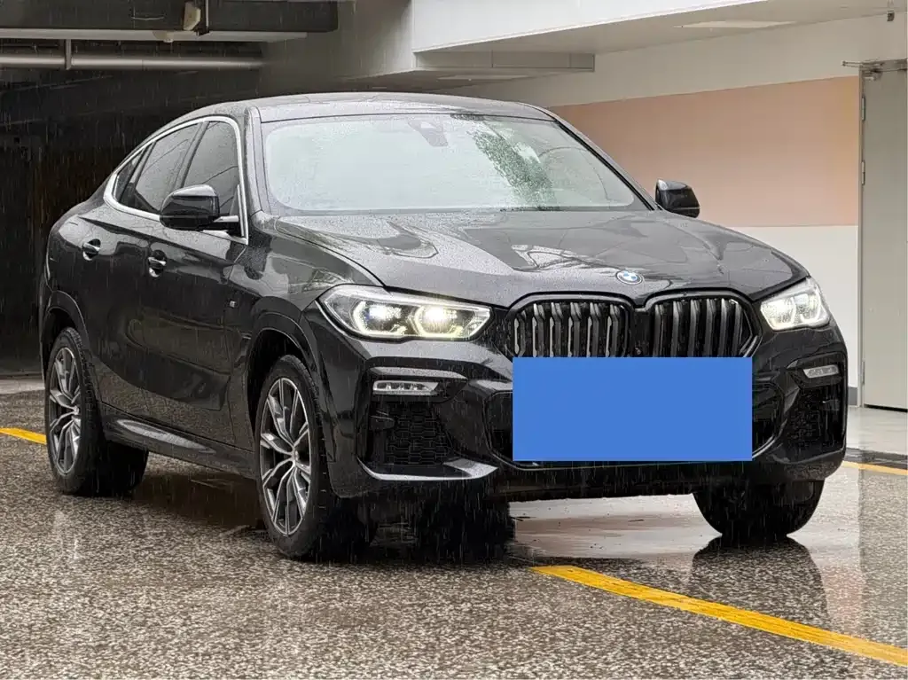 BMW X6 2022 из CN, фото 8