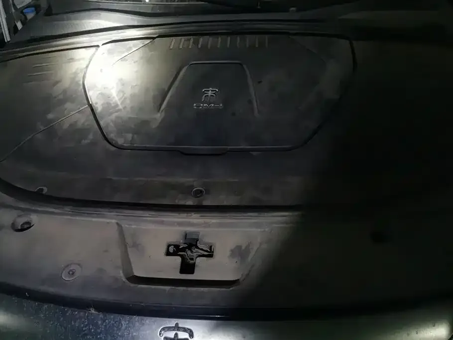BYD PLUS New Energy 2022 из CN, фото 8