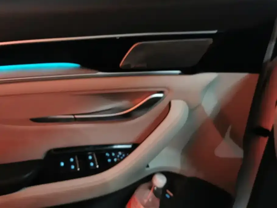 BYD PLUS New Energy 2022 из CN, фото 5
