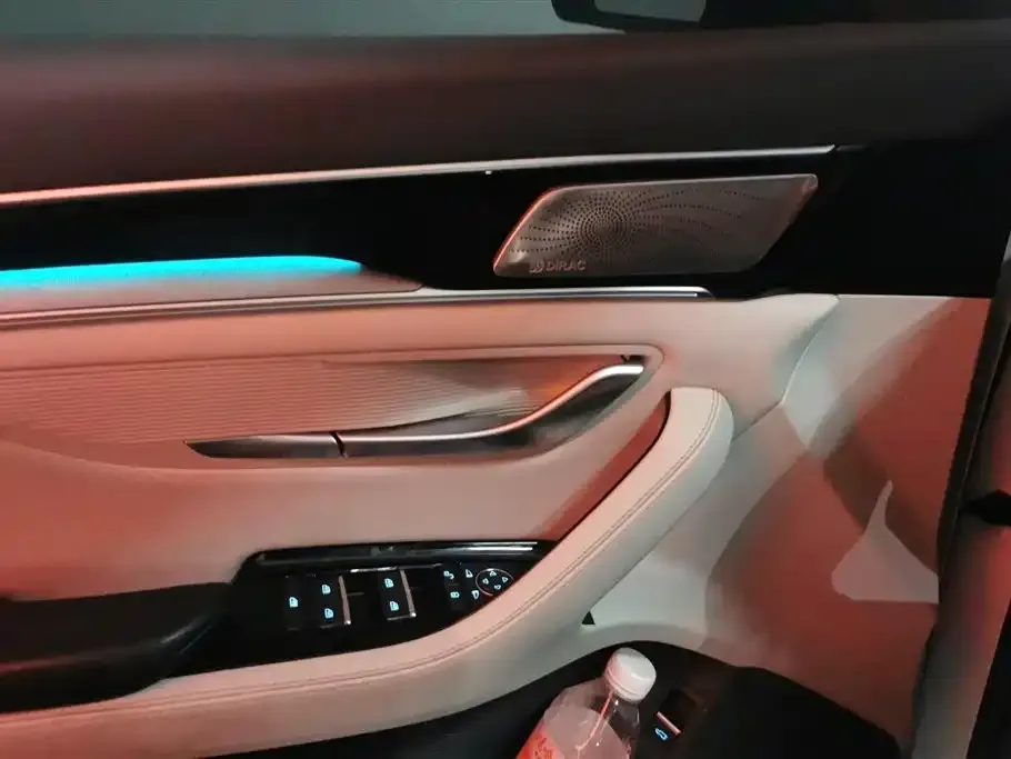 BYD PLUS New Energy 2022 из CN, фото 7