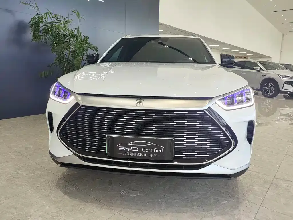 BYD PLUS New Energy 2022 из CN, фото 5