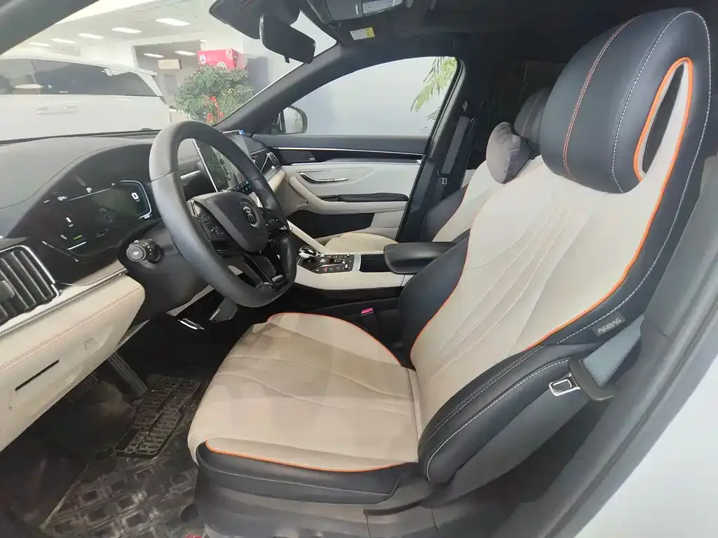 BYD PLUS New Energy 2022 из CN, фото 4