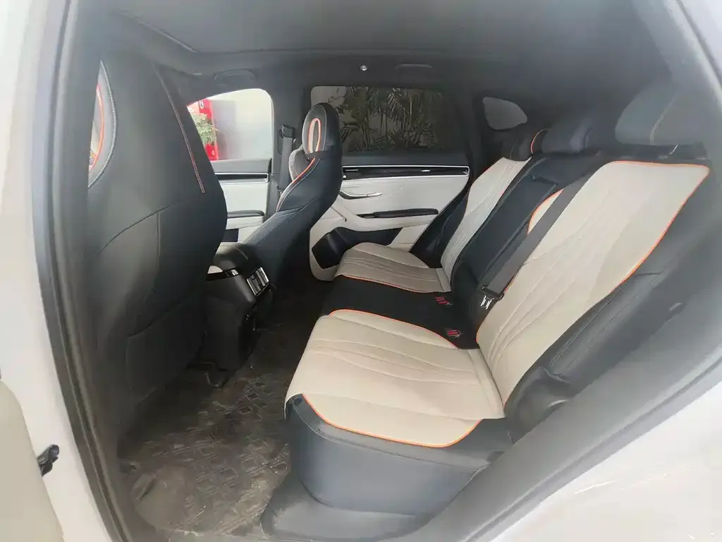 BYD PLUS New Energy 2022 из CN, фото 2