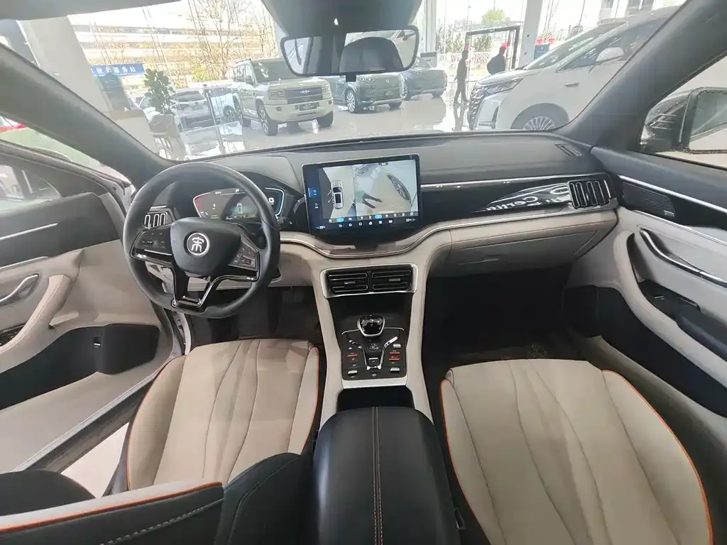 BYD PLUS New Energy 2022 из CN, фото 8