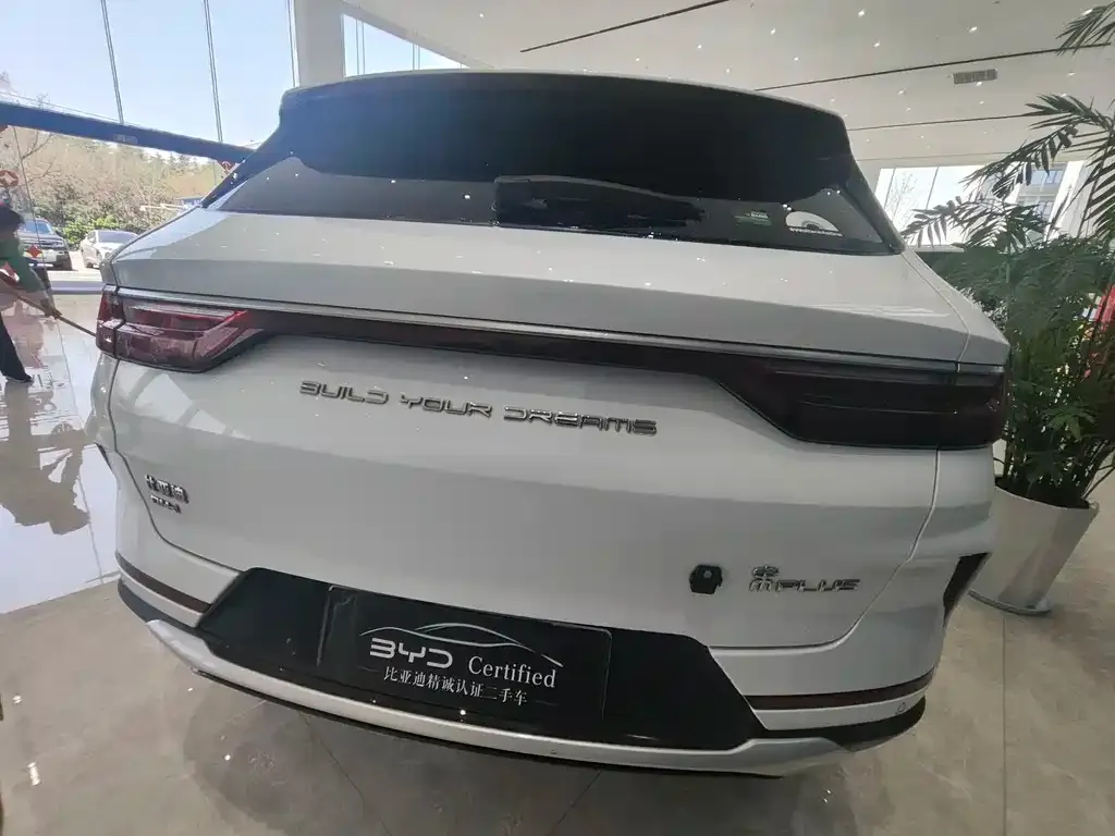 BYD PLUS New Energy 2022 из CN, фото 7