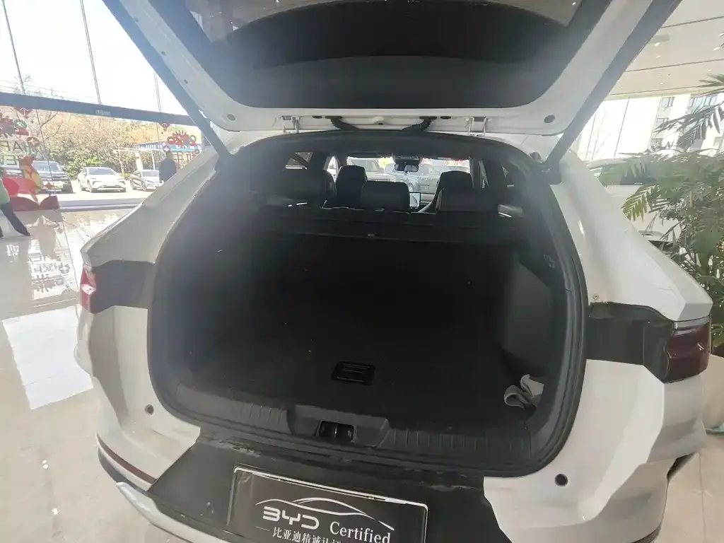 BYD PLUS New Energy 2022 из CN, фото 6