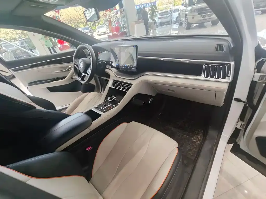 BYD PLUS New Energy 2022 из CN, фото 9