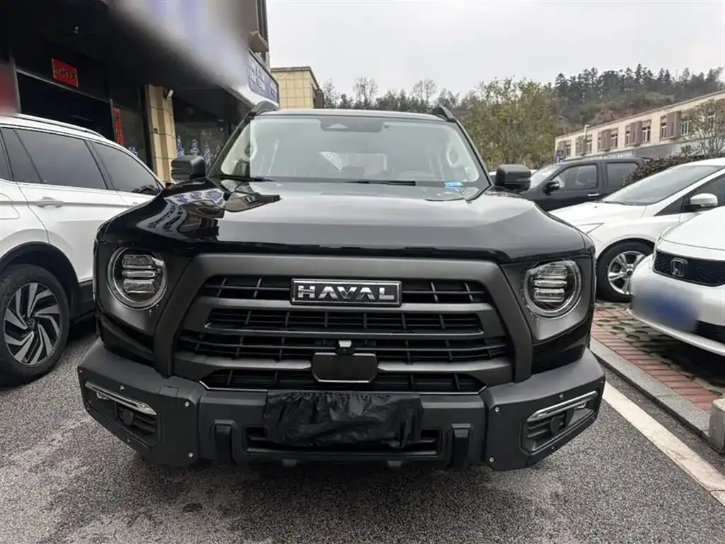 Haval Big Dog 2024 из CN, фото 6