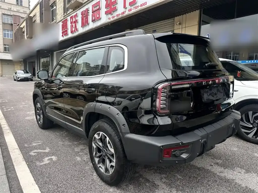 Haval Big Dog 2024 из CN, фото 7