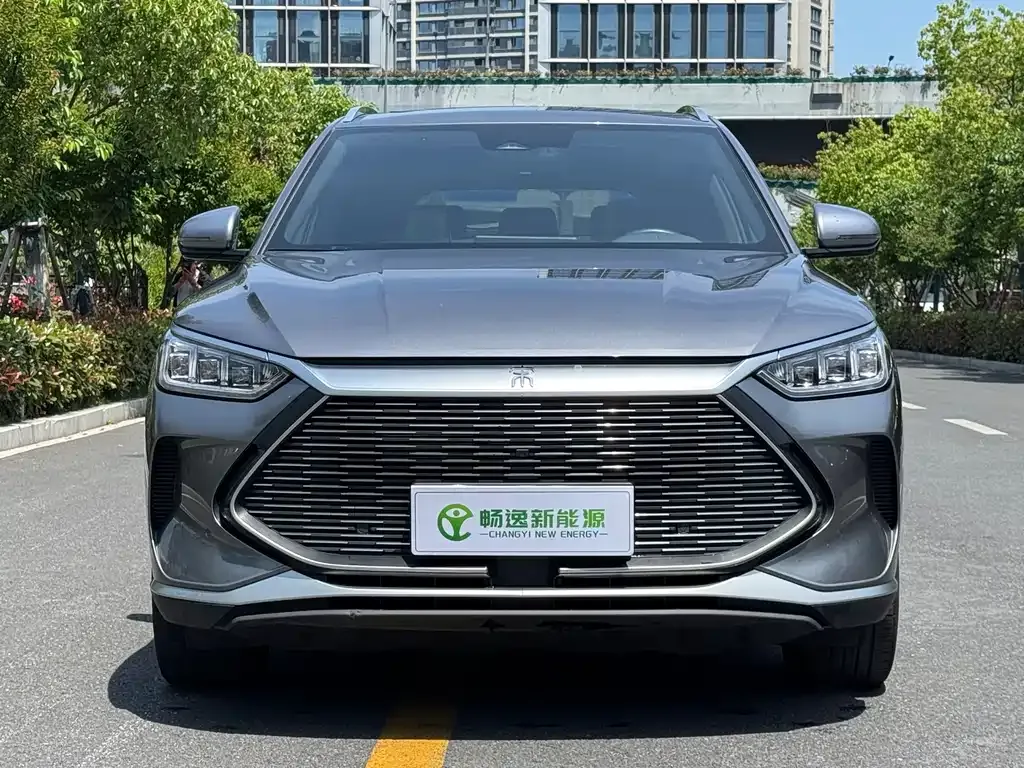 BYD PLUS New Energy 2023 из CN, фото 7