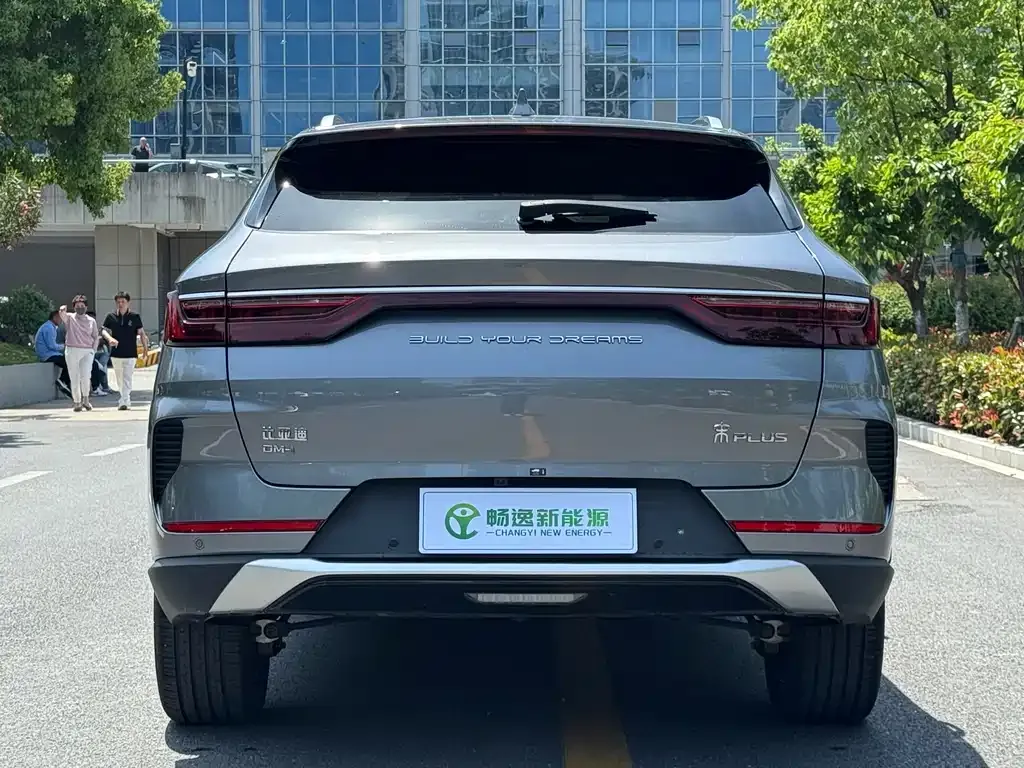 BYD PLUS New Energy 2023 из CN, фото 6