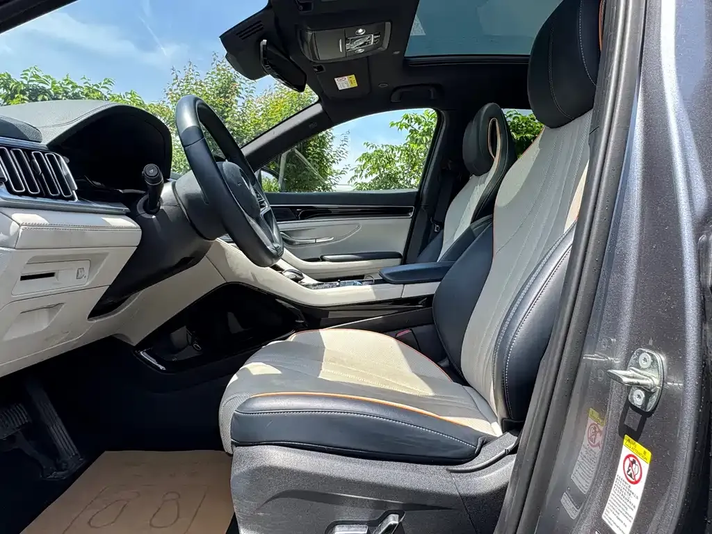 BYD PLUS New Energy 2023 из CN, фото 8