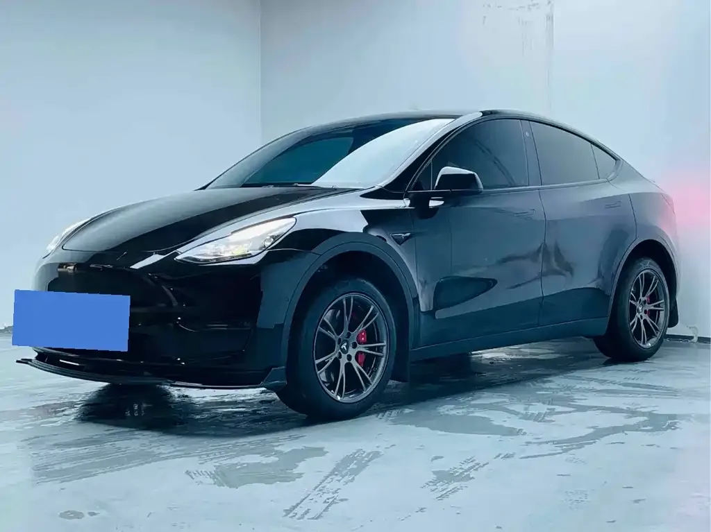 Tesla Model Y 2021 из CN, фото 1