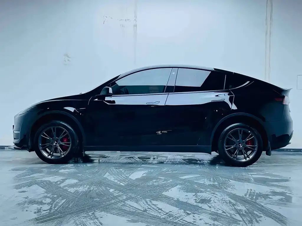 Tesla Model Y 2021 из CN, фото 6