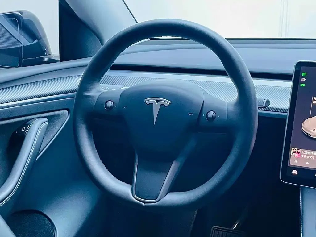 Tesla Model Y 2021 из CN, фото 4