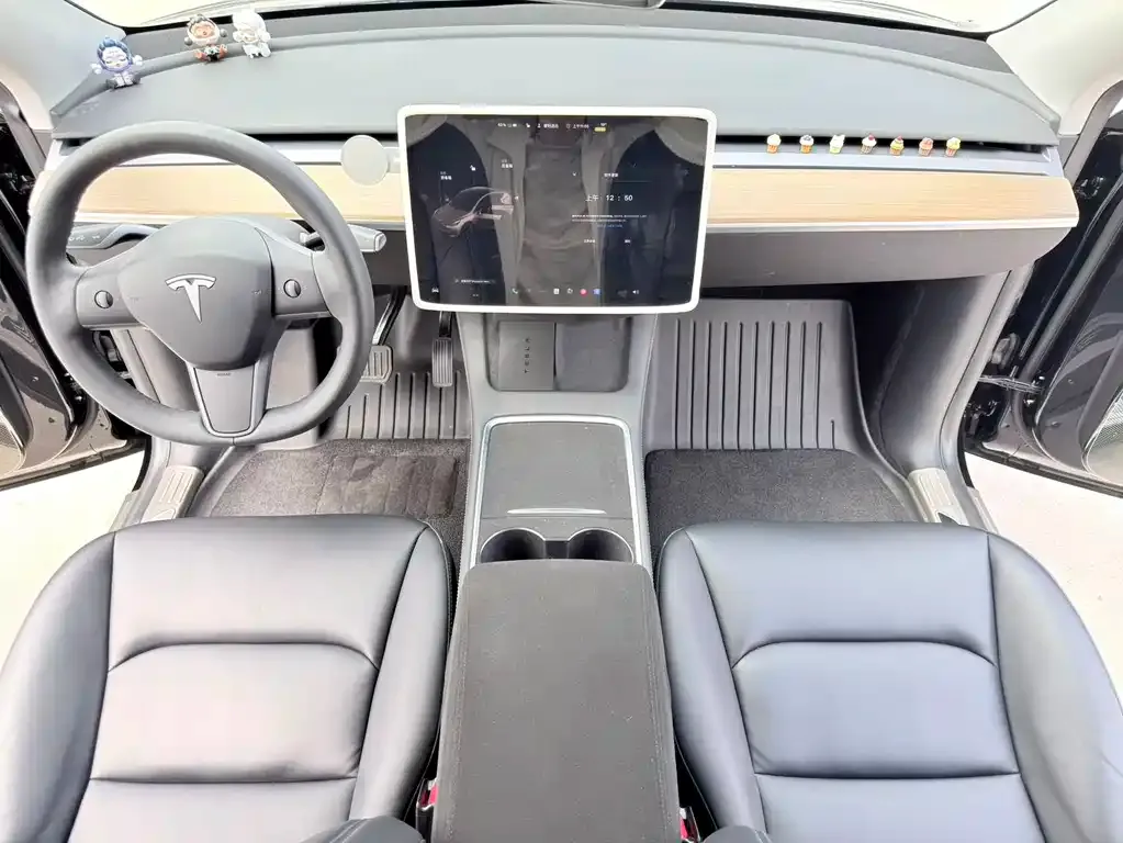 Tesla Model Y — фото 10