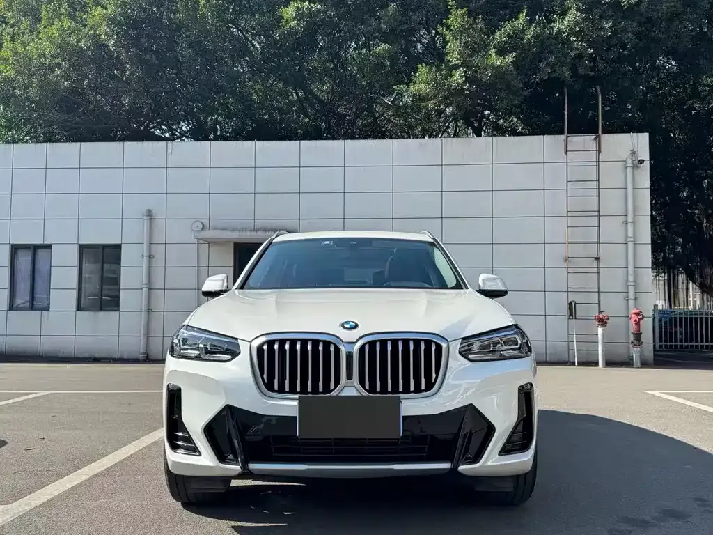BMW X3 2024 из CN, фото 9