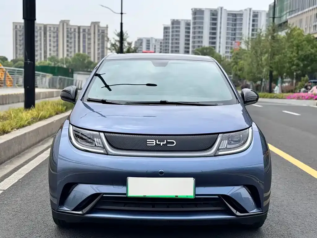 BYD Dolphin 2024 из CN, фото 6