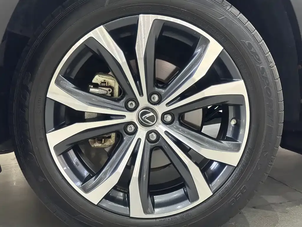 Lexus RX — фото 10