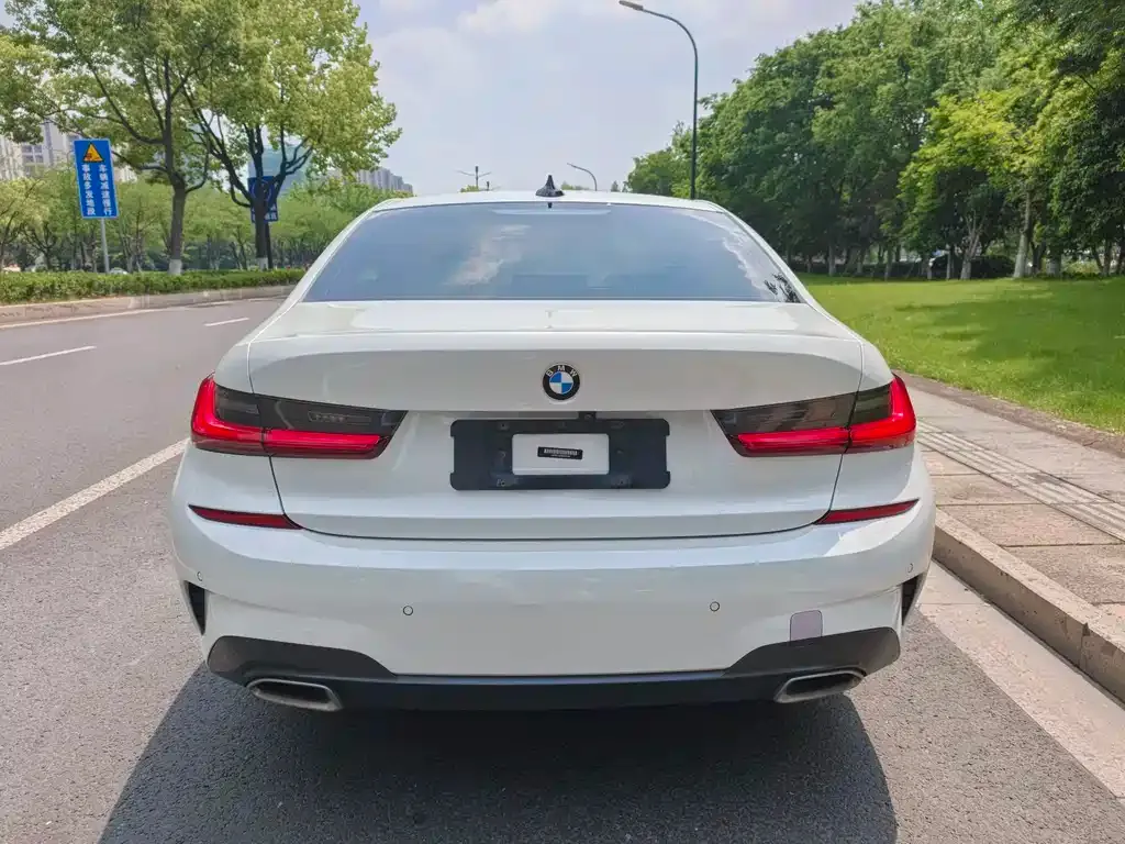 BMW 3 Series 2021 из CN, фото 6