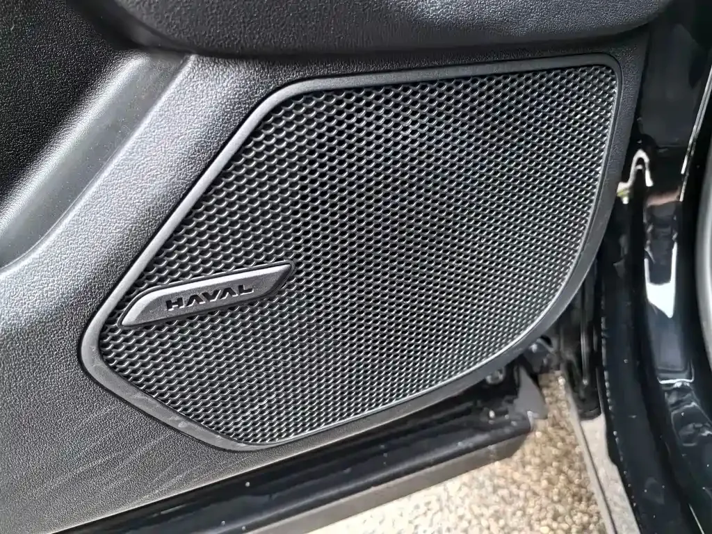 Haval H7 (Big Dog Plus) 2023 из CN, фото 8