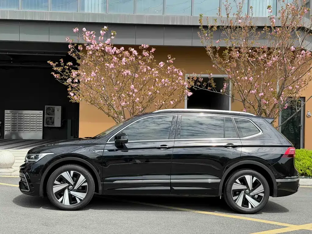 Volkswagen Tiguan L 2023 из CN, фото 6