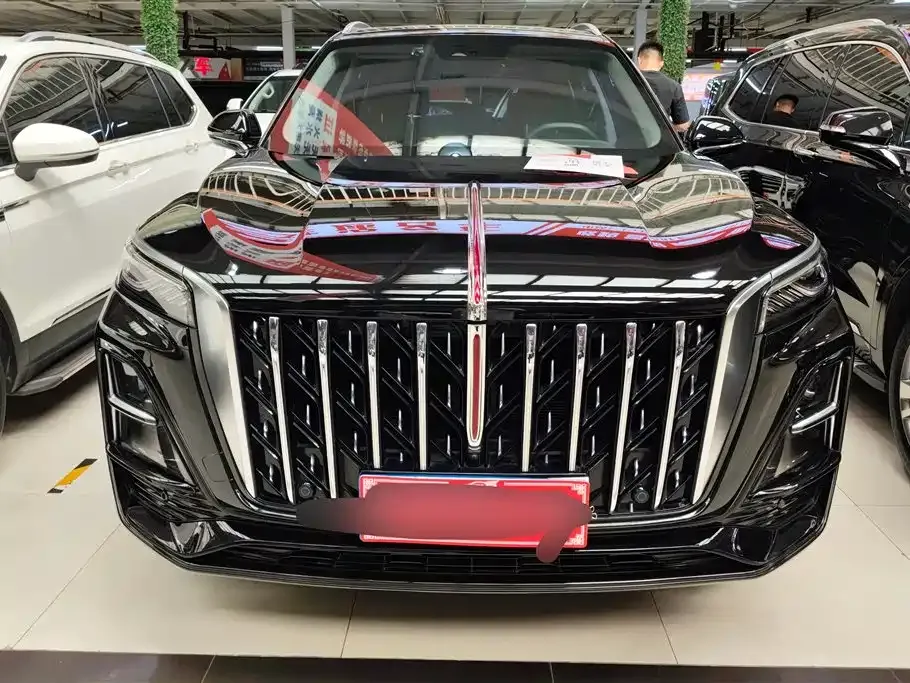 Hongqi HS5 2023 из CN, фото 10