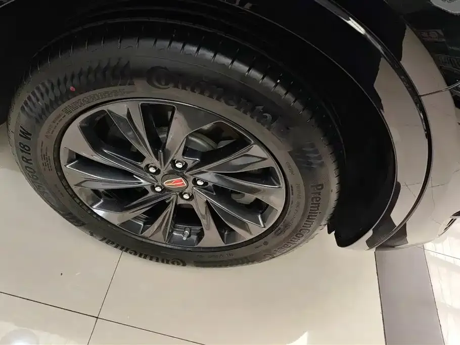 Hongqi HS5 2023 из CN, фото 4