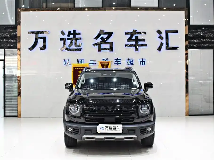 Haval Big Dog 2024 из CN, фото 4