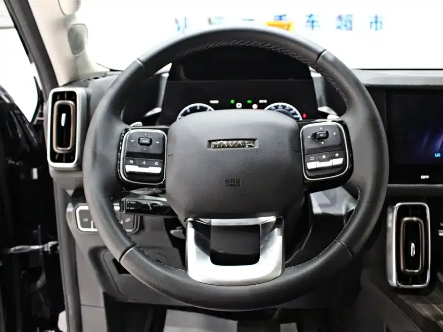 Haval Big Dog 2024 из CN, фото 7