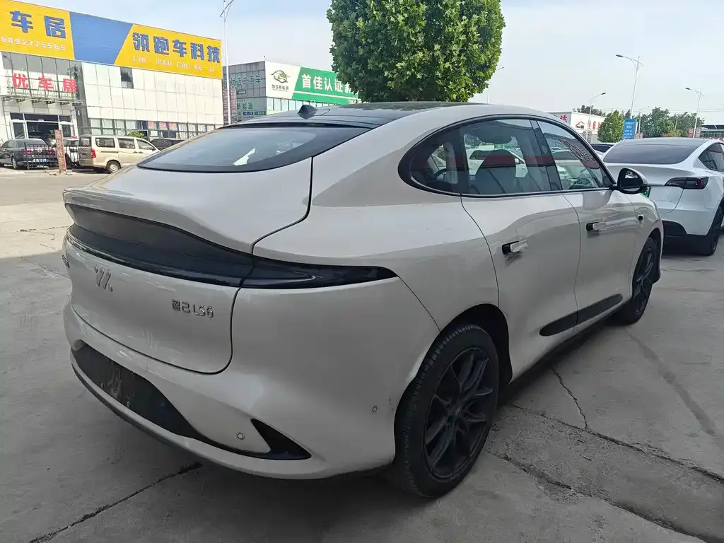 IM LS6 2023 из CN, фото 4