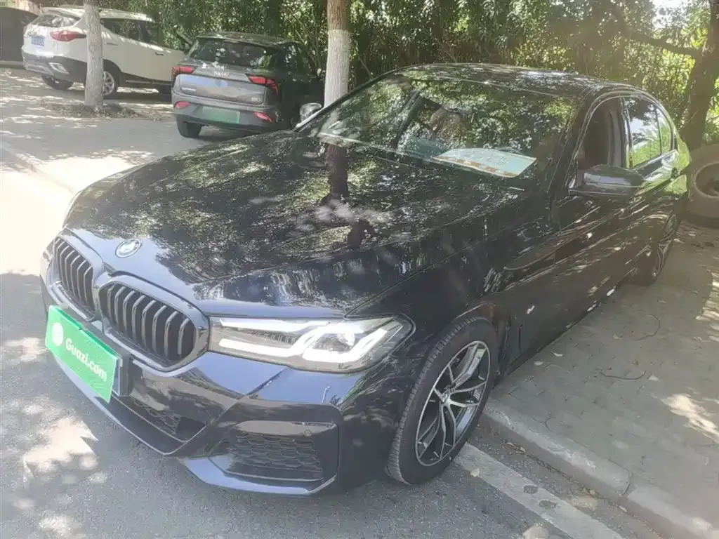 BMW 5 Series 2022 из CN, фото 1