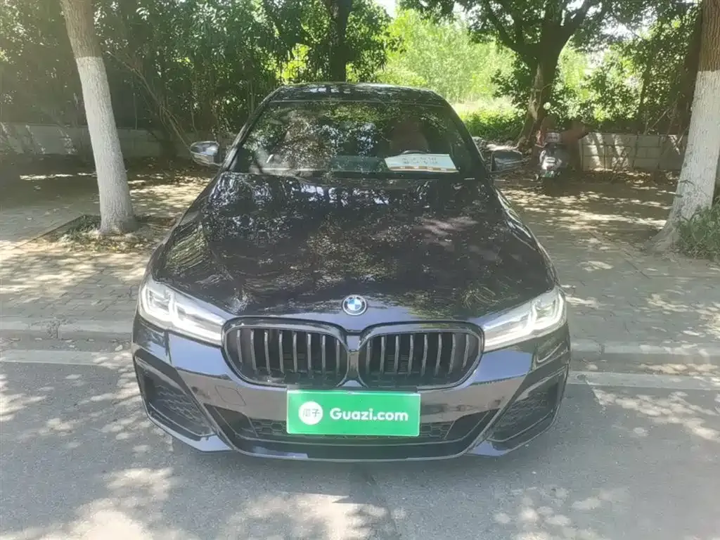 BMW 5 Series 2022 из CN, фото 6