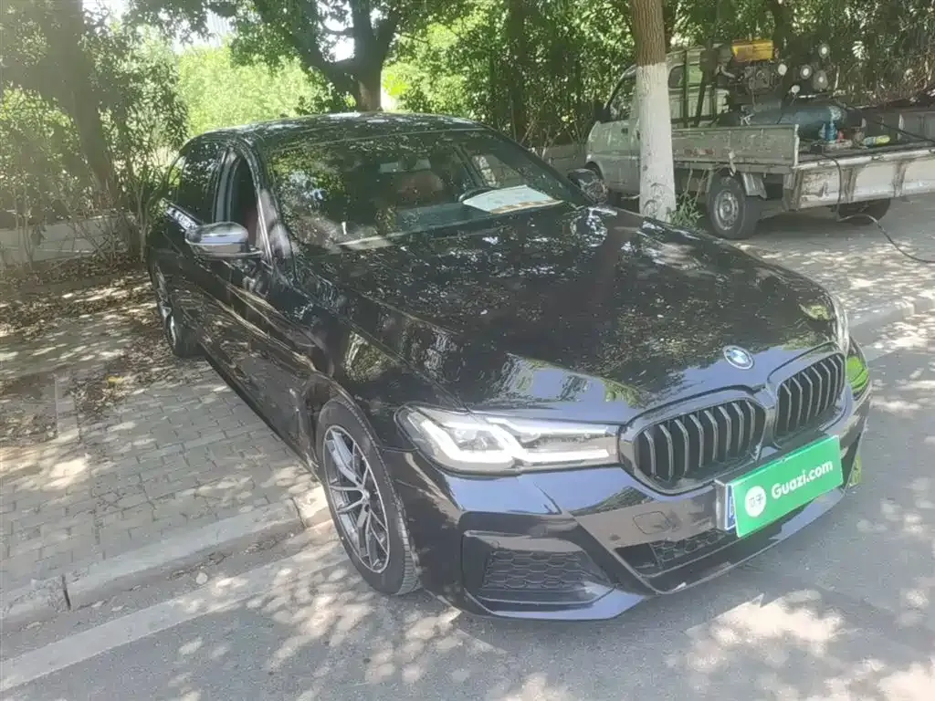 BMW 5 Series 2022 из CN, фото 4
