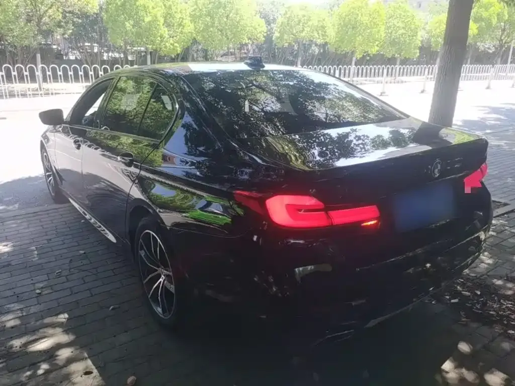BMW 5 Series 2022 из CN, фото 7