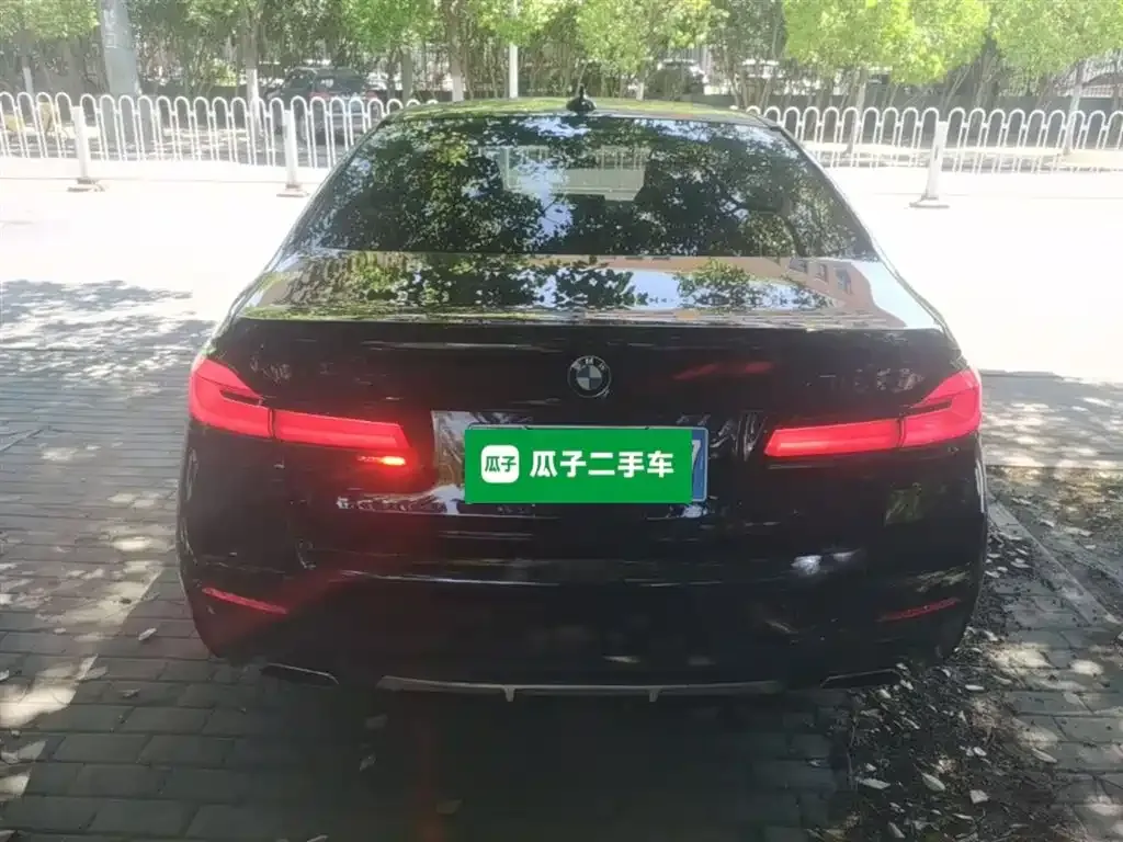 BMW 5 Series 2022 из CN, фото 5