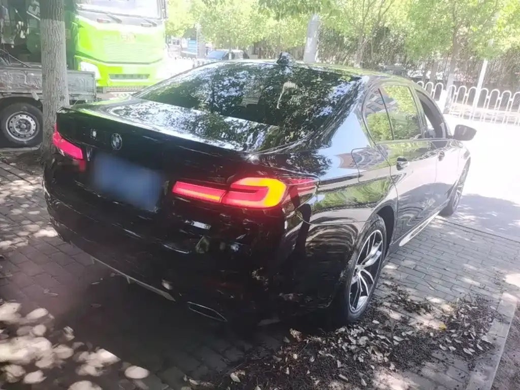 BMW 5 Series 2022 из CN, фото 8