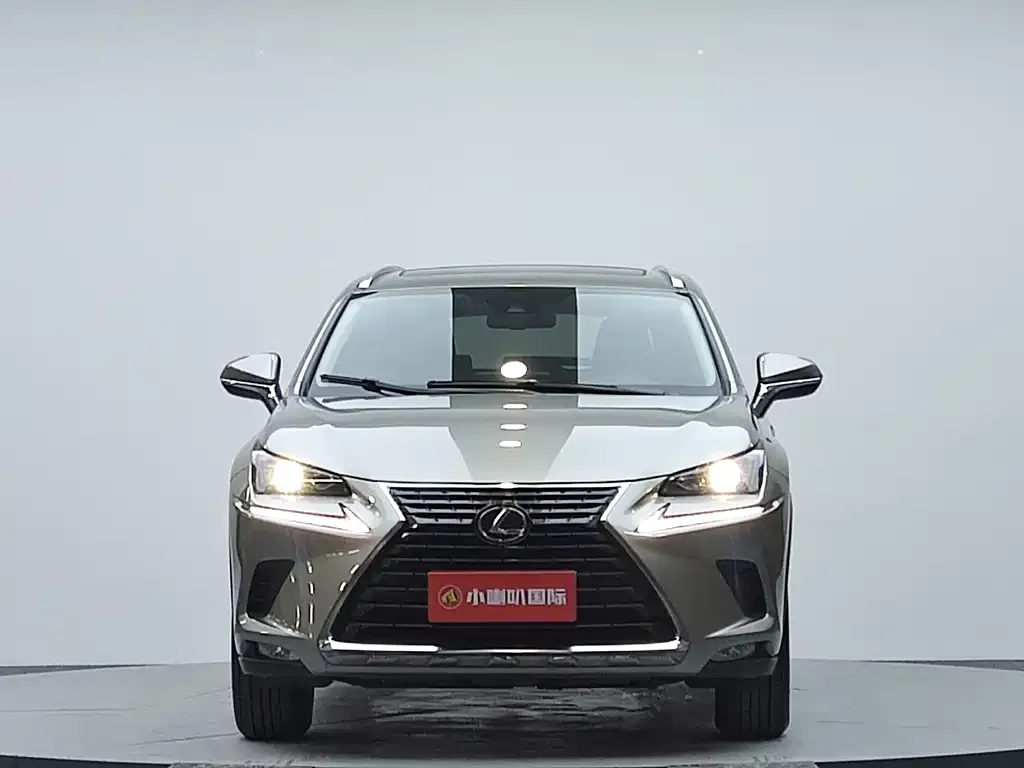 Lexus NX 2021 из CN, фото 2