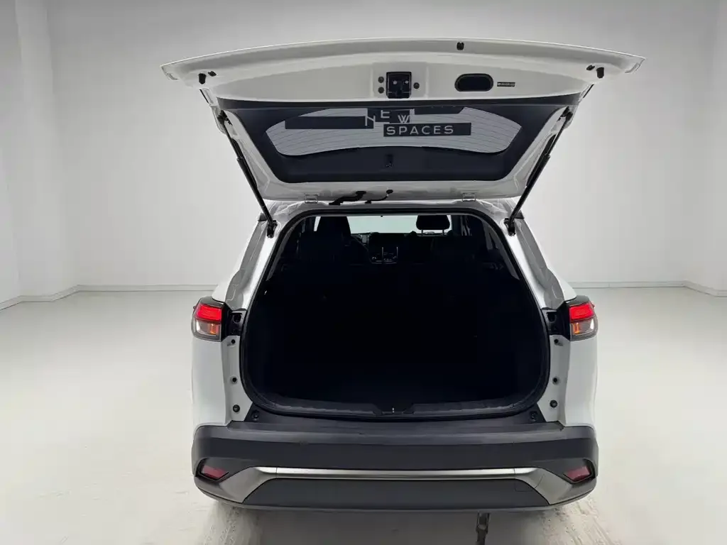 Toyota Frontlander 2023 из CN, фото 7