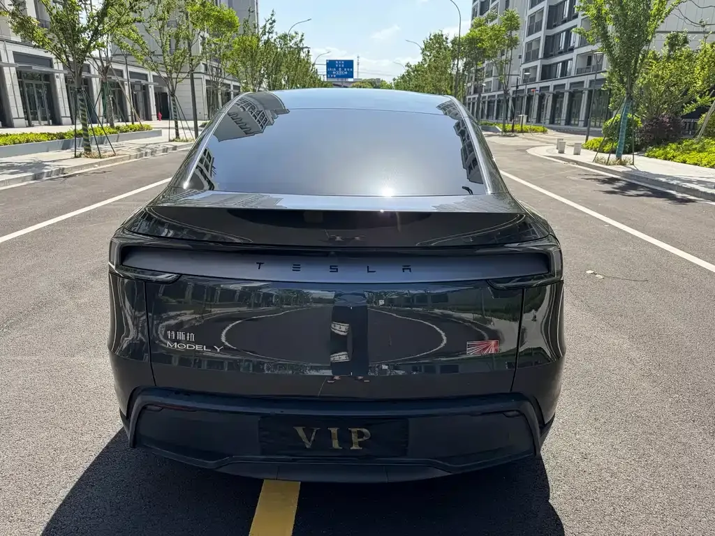 Tesla Model Y 2025 из CN, фото 7